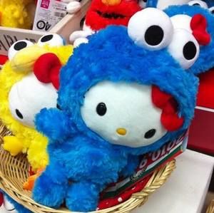 Meet your Posher, Ann